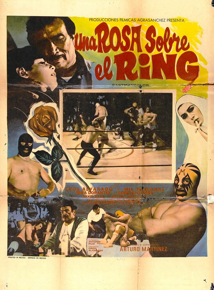 Una rosa sobre el ring (1973)