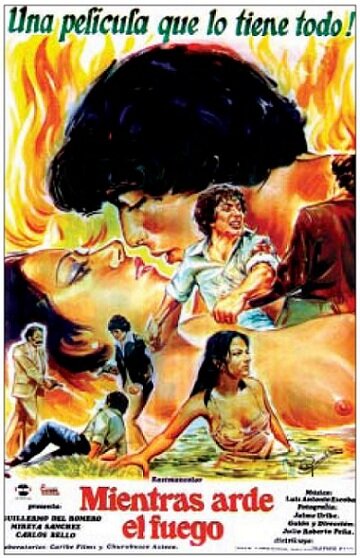 Как горит огонь (1982)