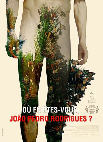 Où en êtes-vous, João Pedro Rodrigues? (2017)