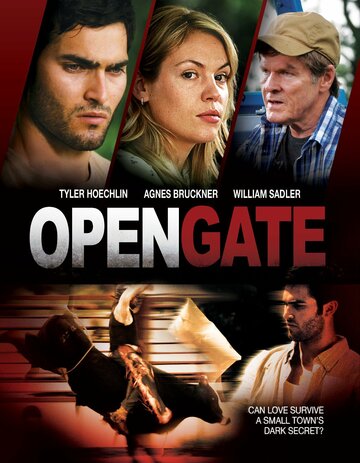 Открытые ворота (2011)
